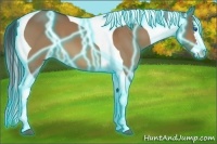 Horse Color:Thunderstruck Bay Dun Splash Tobiano 