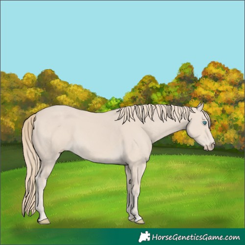 Horse Color:Smoky Creme