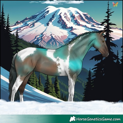 Horse Color:Liver Red Dun Tobiano 