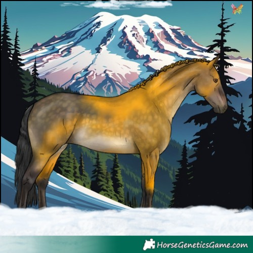 Horse Color:Brown Dun