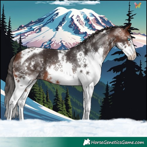 Horse Color:Brown Splash Tobiano 