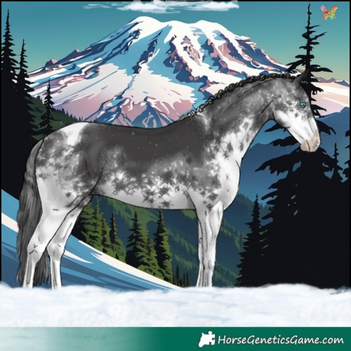 Horse Color:Black Splash Tobiano 