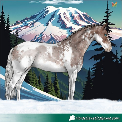 Horse Color:Silver Brown Splash Tobiano 