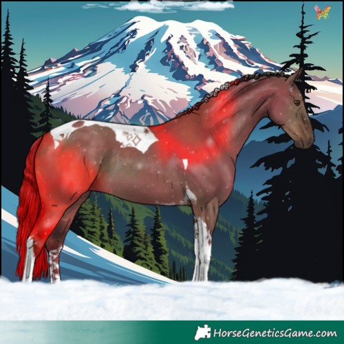 Horse Color:Liver Red Dun Tobiano