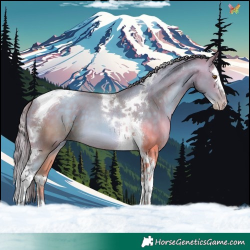Horse Color:Watercolor Brown Pearl Splash Tobiano