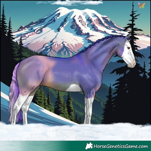 Horse Color:Watercolor Brown Dun Splash
