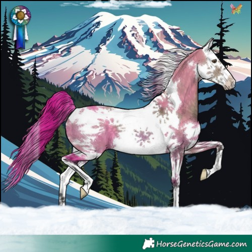 Horse Color:Brown Dun Splash Tobiano 