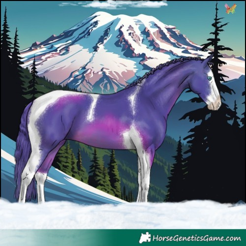Horse Color:Watercolor Brown Splash Tobiano