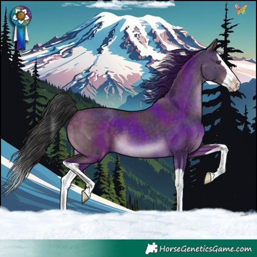 Horse Color:Brown Dun Splash 