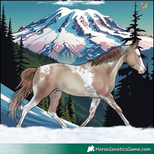 Horse Color:Watercolor Liver Chestnut Pearl Splash Tobiano