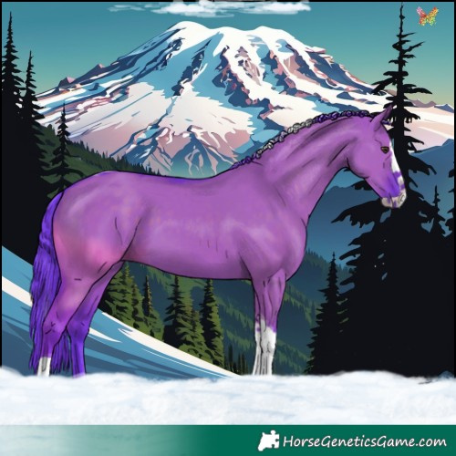 Horse Color:Watercolor Liver Red Dun Splash Tobiano