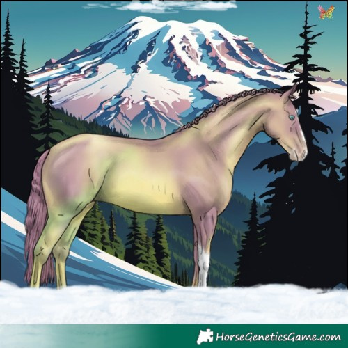 Horse Color:Watercolor Liver Chestnut Pearl Splash Tobiano