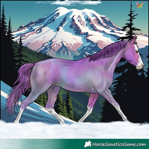 Horse Color:Watercolor Brown Pearl Splash 