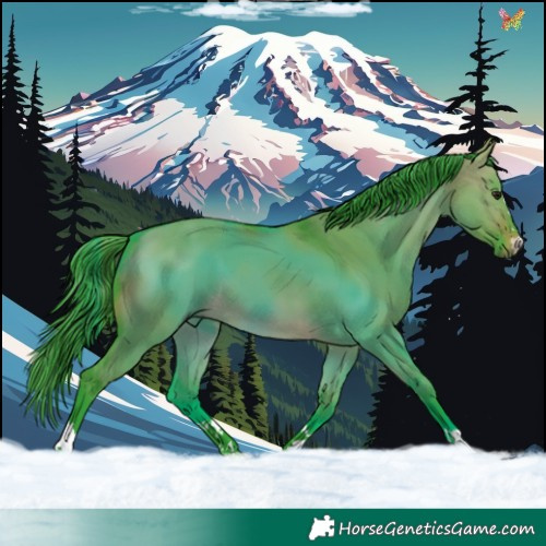 Horse Color:Watercolor Brown Dun