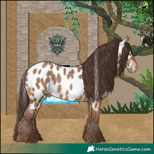 Horse Color:Amber Champagne Appaloosa Rabicano 