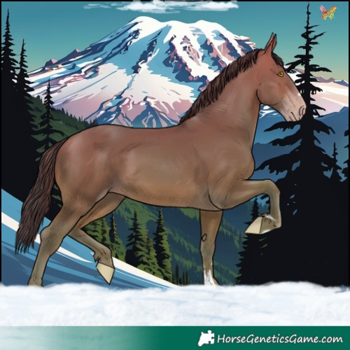 Horse Color:Sable Champagne