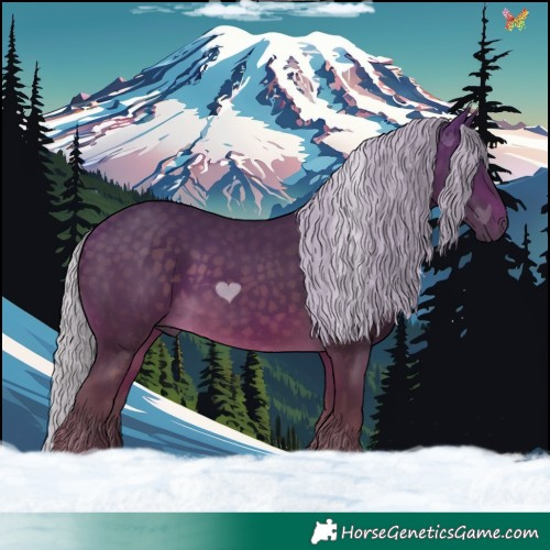 Horse Color:Silver Buckskin