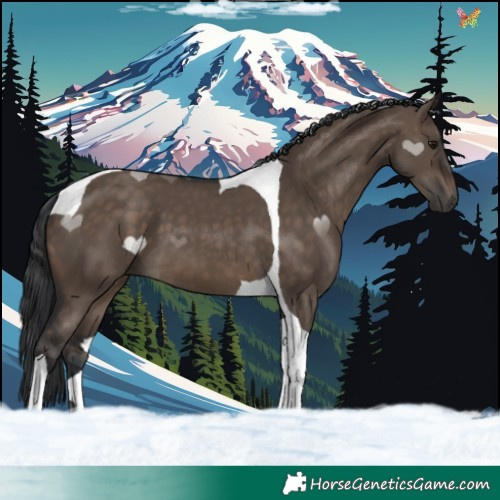 Horse Color:Brown Dun Tobiano 