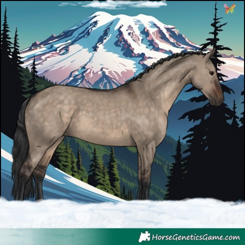 Horse Color:Brown Dun
