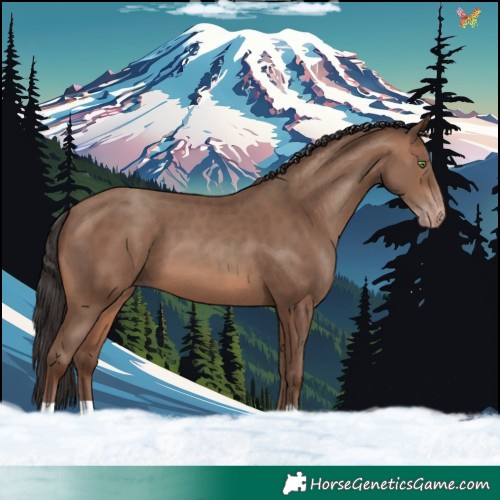 Horse Color:Sable Champagne
