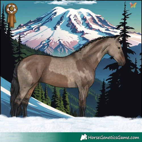 Horse Color:Brown Dun and Brown Dun