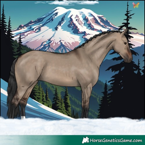 Horse Color:Brown Dun