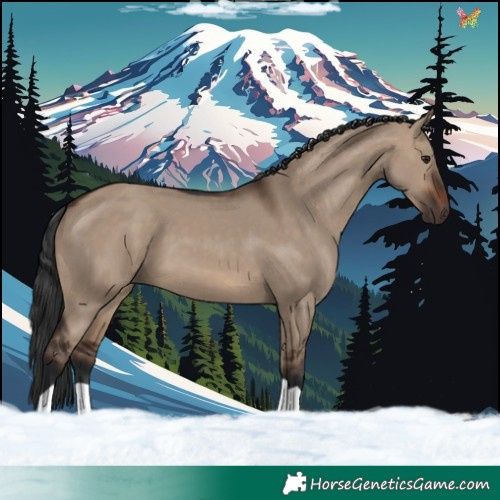 Horse Color:Brown Dun