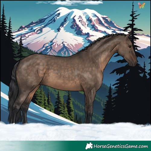 Horse Color:Brown Dun