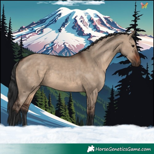 Horse Color:Brown Dun