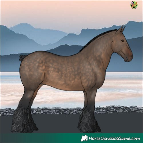 Horse Color:White Spotted Brown Dun 
