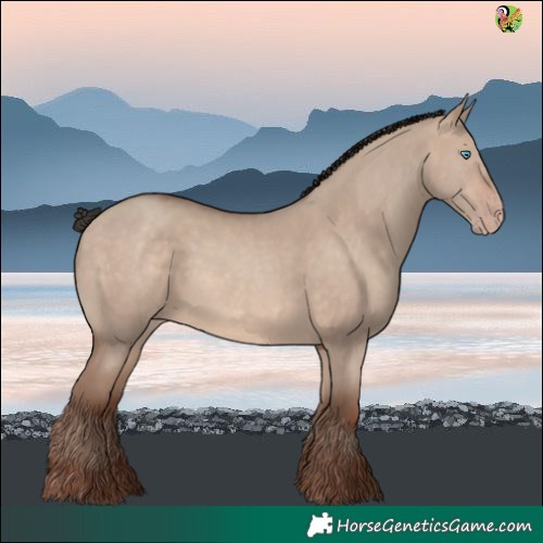 Horse Color:Sable Champagne Dun 