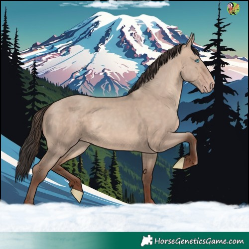 Horse Color:Sable Champagne Dun 