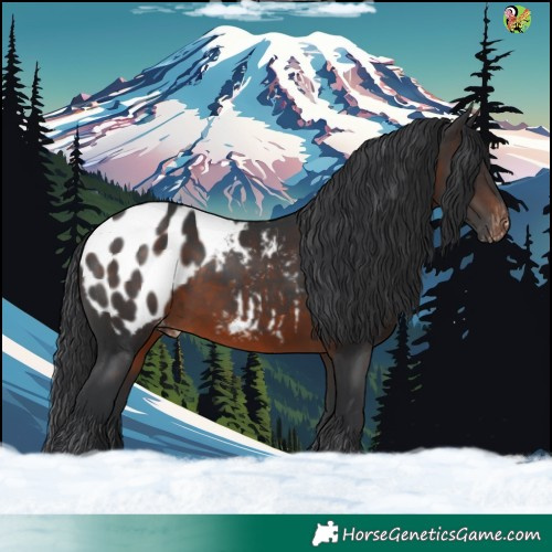 Horse Color:Brown Appaloosa