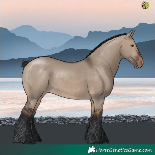 Horse Color:White Spotted Brown Dun Varnish