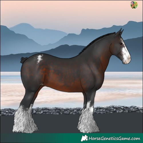 Horse Color:White Spotted Brown Varnish