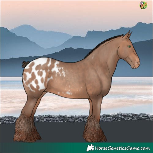 Horse Color:White Spotted Amber Champagne Blanket