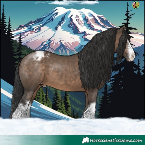 Horse Color:White Spotted Brown Dun Appaloosa