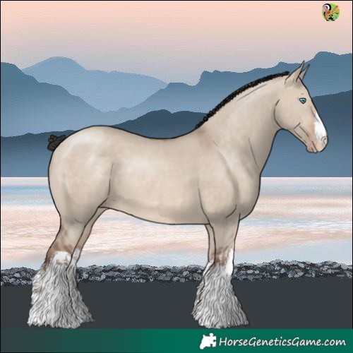 Horse Color:White Spotted Sable Champagne Dun 