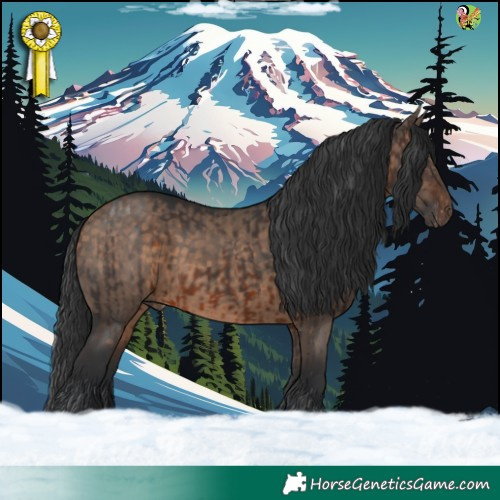 Horse Color:Brown Appaloosa  and White Spotted Brown Dun 