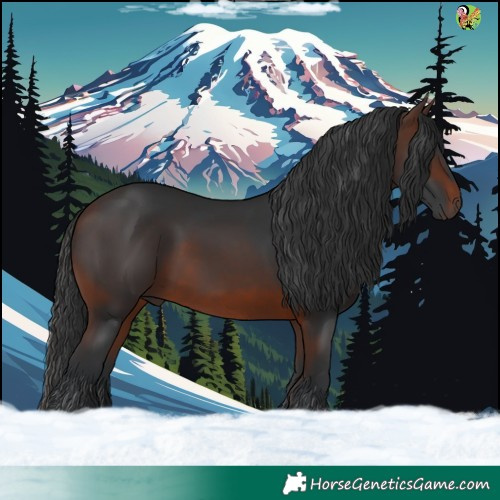 Horse Color:White Spotted Brown