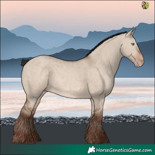 Horse Color:Sable Champagne Dun 