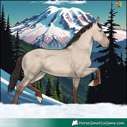 Horse Color:Sable Champagne Dun