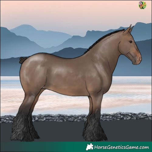 Horse Color:Brown Dun Varnish