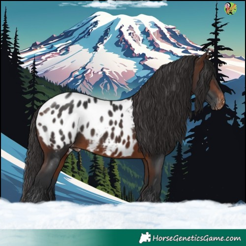 Horse Color:Brown Appaloosa
