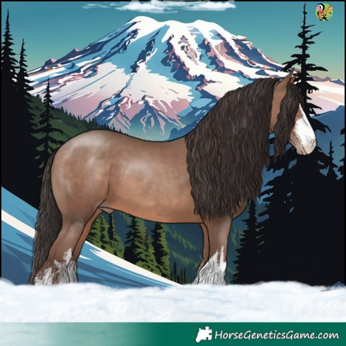 Horse Color:White Spotted Sable Champagne 