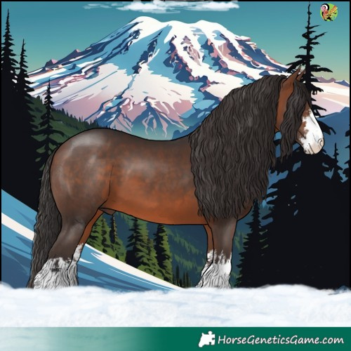 Horse Color:White Spotted Bay