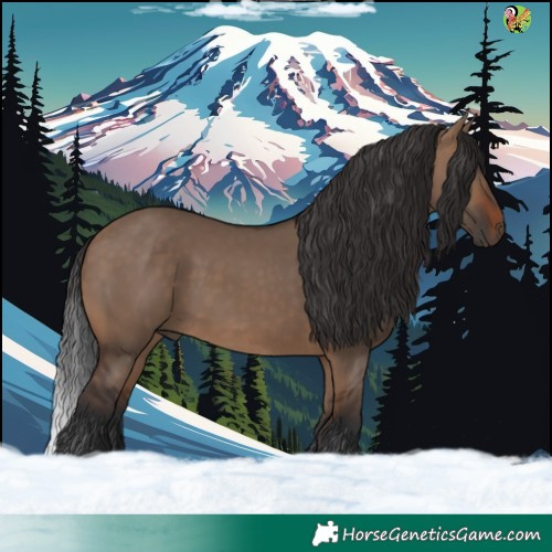 Horse Color:White Spotted Brown Dun