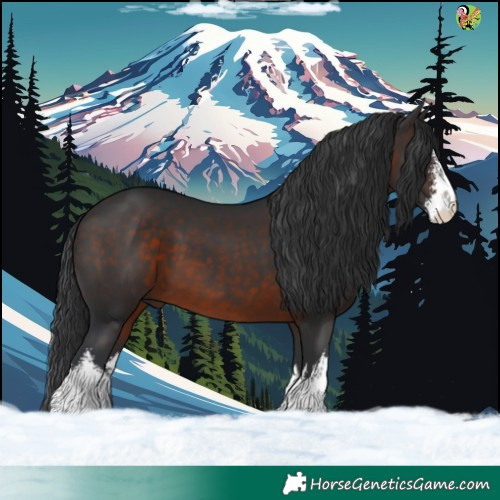 Horse Color:White Spotted Brown