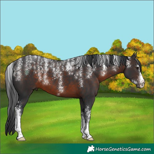 Horse Color:Powder White Brown 