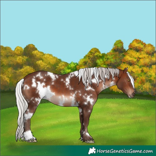 Horse Color:White Spotted Silver Brown Mushroom